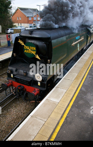 Golden Arrow SR Battle of Britain Klasse 4-6-2 Nr. 34067 Tangmere Dampflokomotive dämpfen Nutfield Durchgangsbahnhof in Surrey Stockfoto