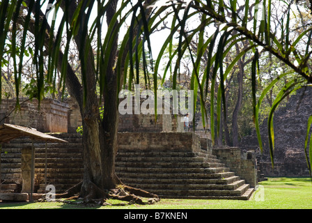 Honduras, Copan, Maya Ruinen von Copan, ein UNESCO-Weltkulturerbe. Stockfoto
