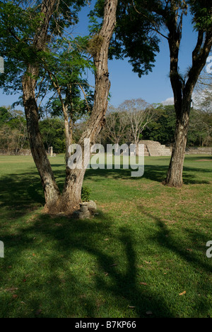 Honduras, Copan, Maya Ruinen von Copan, ein UNESCO-Weltkulturerbe. Stockfoto