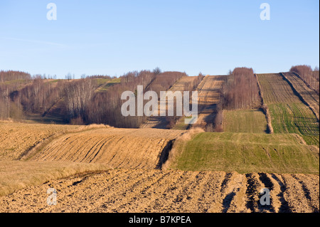 Felder in der Nähe von Bodzentyn Woiwodschaft Świętokrzyskie Berge Polen Stockfoto