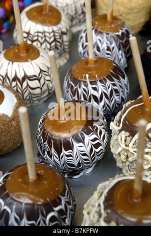 Toffee Äpfel, Victoria, Britisch-Kolumbien, Kanada Stockfoto