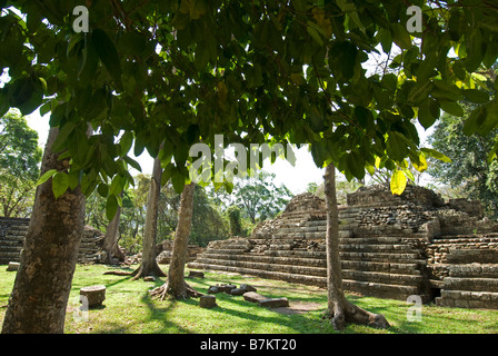 Honduras, Copan, Maya Ruinen von Copan, ein UNESCO-Weltkulturerbe. Stockfoto