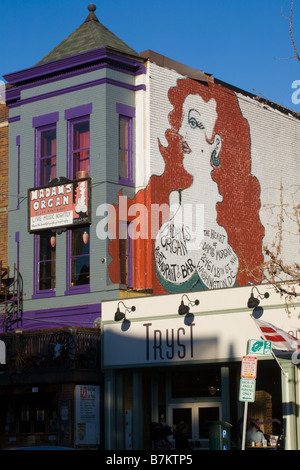 Damen-Orgel Wandbild Eighteenth Street Adams Morgan Nachbarschaft Washington D.C. Stockfoto