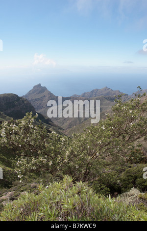 Blick von der Cumbres de Bolico durch die Masca Schlucht auf Teneriffa-Kanarische Inseln-Spanien Stockfoto