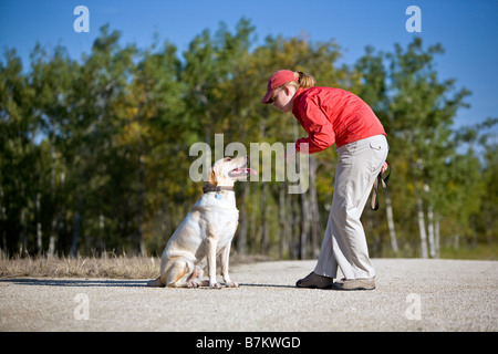 Frau, die ihren Hund draußen training. Stockfoto