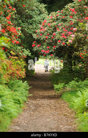 Paare, die durch Rhododendren in den Gärten des Muncaster Castle Stockfoto