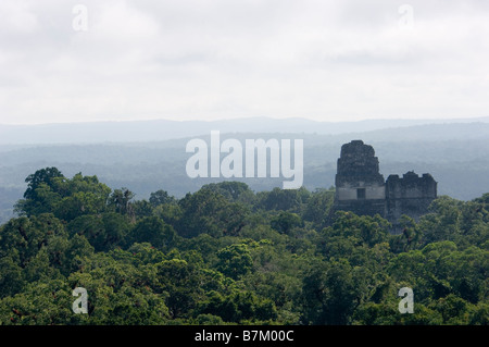 Tempel 1 und 2 erhebt sich über dem Regenwald. Tikal. Guatemala Stockfoto