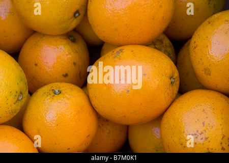 Orangen Stockfoto