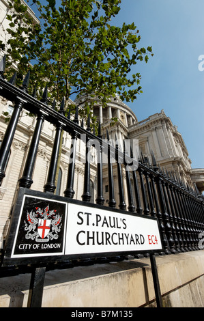 Nachschlagen in der St Pauls Cathedral durch einen Eisenzaun Stockfoto