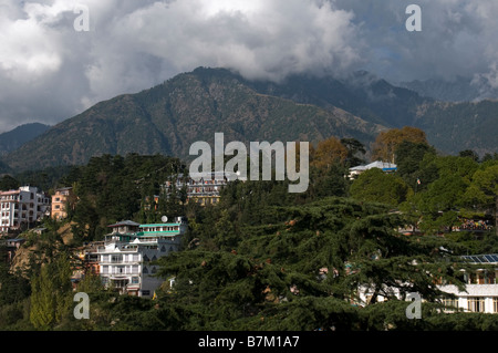 MacLeodganj in den Ausläufern des Himalaya. Dharamsala. Himachal Pradesh. Indien. Stockfoto