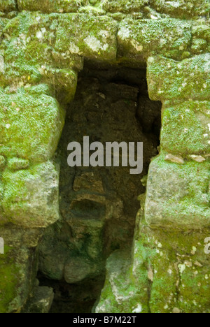 Stein-Gesicht einer Göttin in einer Nische eines Tempels auf der Plaza der verlorenen Welt. Tikal in Guatemala. Stockfoto