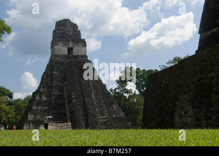 Blick auf Tempel I von der Akropolis del Norte. Tikal in Guatemala. Stockfoto