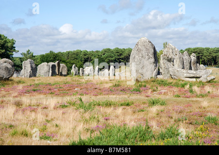 Megalitic Alignements der Menhire von Kermario Carnac Stockfoto