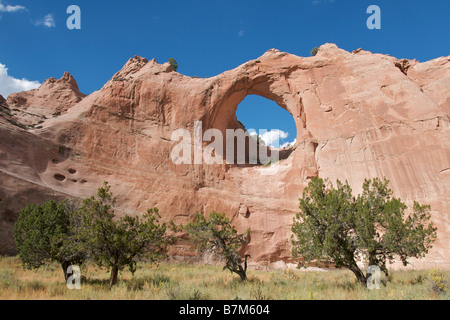 Rock Fensterbogen Arizona USA Stockfoto