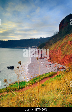 Mit Blick auf kleine Oddicombe Strand in Torquay in den frühen Morgenstunden, Blick nach Süden, entlang der Küste Stockfoto