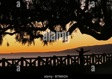 Frau beobachtet den Sonnenuntergang Palisades Park Santa Monica Los Angeles County California Vereinigten Staaten von Amerika Stockfoto