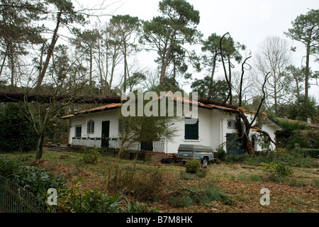 Schäden, die durch die Klaus Sturm in Südwestfrankreich. Dégâts Causés par la Tempête Klaus Dans le Sud-Ouest De La France. Stockfoto