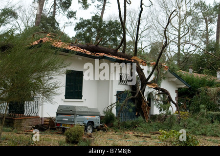 Schäden, die durch die Klaus Sturm in Südwestfrankreich. Dégâts Causés par la Tempête Klaus Dans le Sud-Ouest De La France. Stockfoto