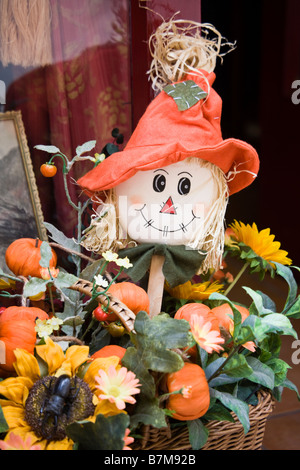 Eine Halloween Puppe in einem Korb der Kürbisse und Blumen, Siena, Italien Stockfoto