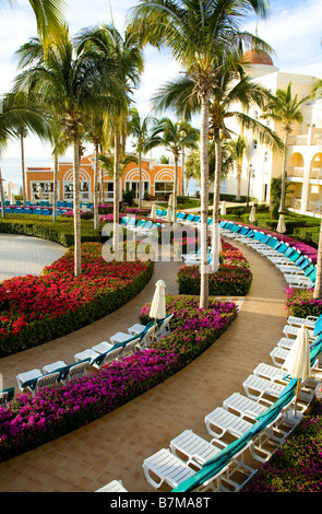 Die Liegewiese am Pool des Hotel Riu Palace Cabo San Lucas, Mexiko. Stockfoto