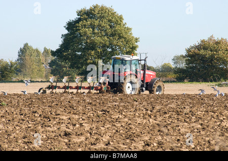 Massey Ferguson 6480 Traktor ein Feld pflügen Stockfoto