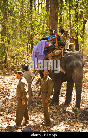 Indische Frauen Klettern auf Elefanten, Tiger im Wald von Kanha National Park Madhya Pradesh Indien Nordasien anzeigen Stockfoto