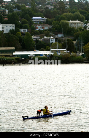 Mensch und Hund, Kajakfahren auf dem Tamar River, Launceston, Tasmanien Stockfoto