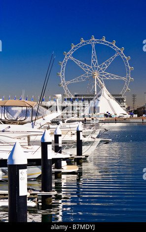 Melbourne Docklands / ein Bootshafen in Victoria Harbour.Melbourne Victoria Australien. Stockfoto