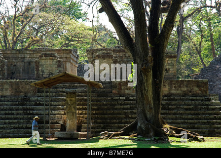 Honduras, Copan, Maya Ruinen von Copan, ein UNESCO-Weltkulturerbe. Stockfoto