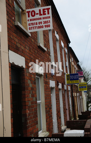 Zu lassen und für Verkauf Zeichen auf Reihenhäuser im Studentenviertel von Belfast Stockfoto