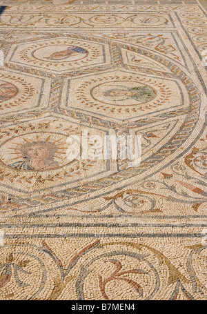 Italica Santiponce Sevilla Spanien Bodenmosaik im Haus des Planetariums Stockfoto