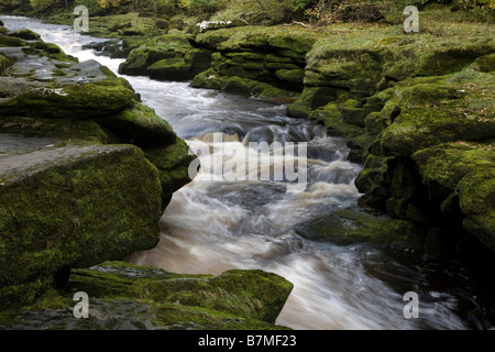 Strid, Bolton Abtei Sept 2008 Stockfoto