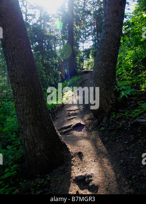 Szene aus Millcreek Canyon Wanderweg über Salt Lake City, Utah. Stockfoto