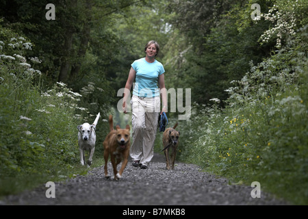 Dame zu Fuß drei Hunde auf der stillgelegten Bahn Linie Market Weighton The Wolds East Yorkshire UK Stockfoto