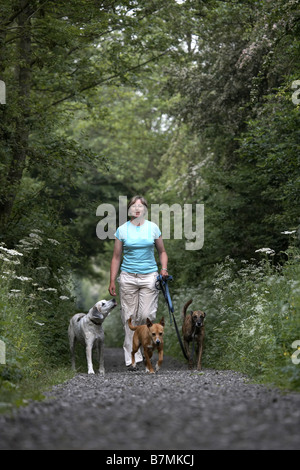 Dame zu Fuß drei Hunde auf der stillgelegten Bahn Linie Market Weighton The Wolds East Yorkshire UK Stockfoto