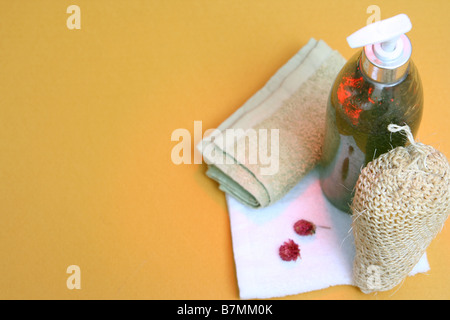 Sammlung von Dusche, Bad, Wellness und Schönheit Produkte einsatzbereit Stockfoto