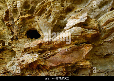 Detail der Sandstein neben natürlichen Brückenbogen in Natural Bridge State Park Kentucky Stockfoto