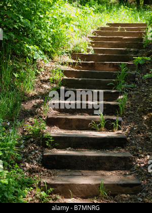 Szene aus Millcreek Canyon Wanderweg über Salt Lake City, Utah. Stockfoto