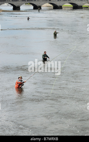 Lachsfischer am River Moy in Ballina County Mayo. Stockfoto