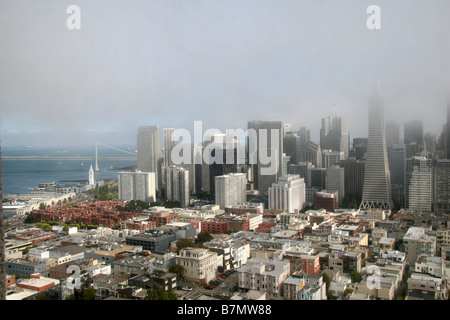 Blick vom Coit Tower, San Francisco, Kalifornien. Stockfoto