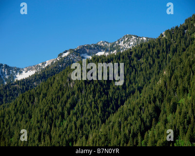 Szene aus Millcreek Canyon Wanderweg über Salt Lake City, Utah. Stockfoto