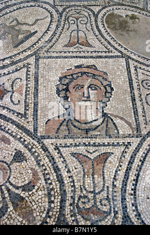 Mosaik aus die Arbeiten des Herkules Haus Volubilis Marokko Stockfoto