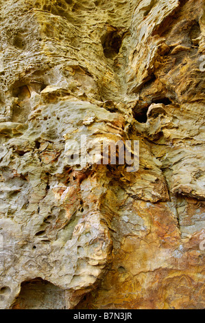 Detail der Sandstein neben natürlichen Brückenbogen in Natural Bridge State Park Kentucky Stockfoto