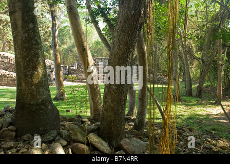 Honduras, Copan, Maya Ruinen von Copan, ein UNESCO-Weltkulturerbe. Stockfoto