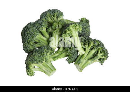 Brokkoli auf weißem Hintergrund ausschneiden Stockfoto