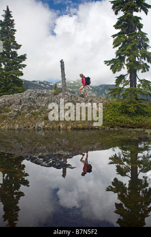 BRITISH COLUMBIA - Wanderer über einen kleinen Teich im Bereich Forbidden Plateau Paradies Wiesen der Strathcona Provincial Park. Stockfoto