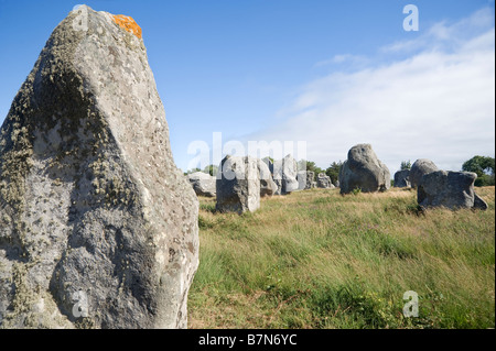 Megalitic Alignements der Menhire von Kermario Carnac Stockfoto