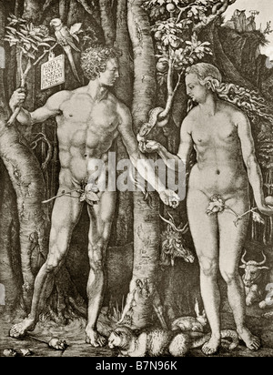 Adam und Eva. Von der Gravur Albrecht Durer, 1504. Stockfoto