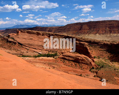 Szenen aus der Delicate Arch trail im Arches National Park in der Nähe von Moab, Utah. Stockfoto