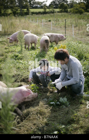 Schweine und eine Familie in der farm Stockfoto